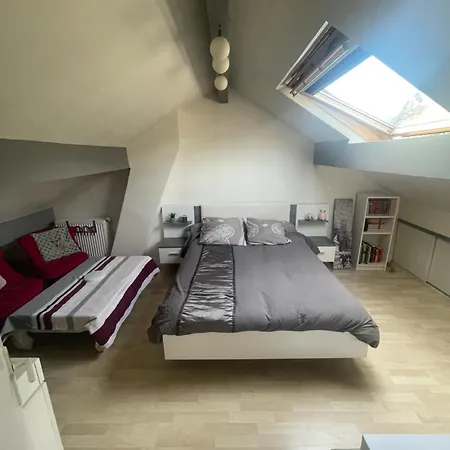 Maison Proche Jo Pour 10/12pers بيارفيت-سور-سين